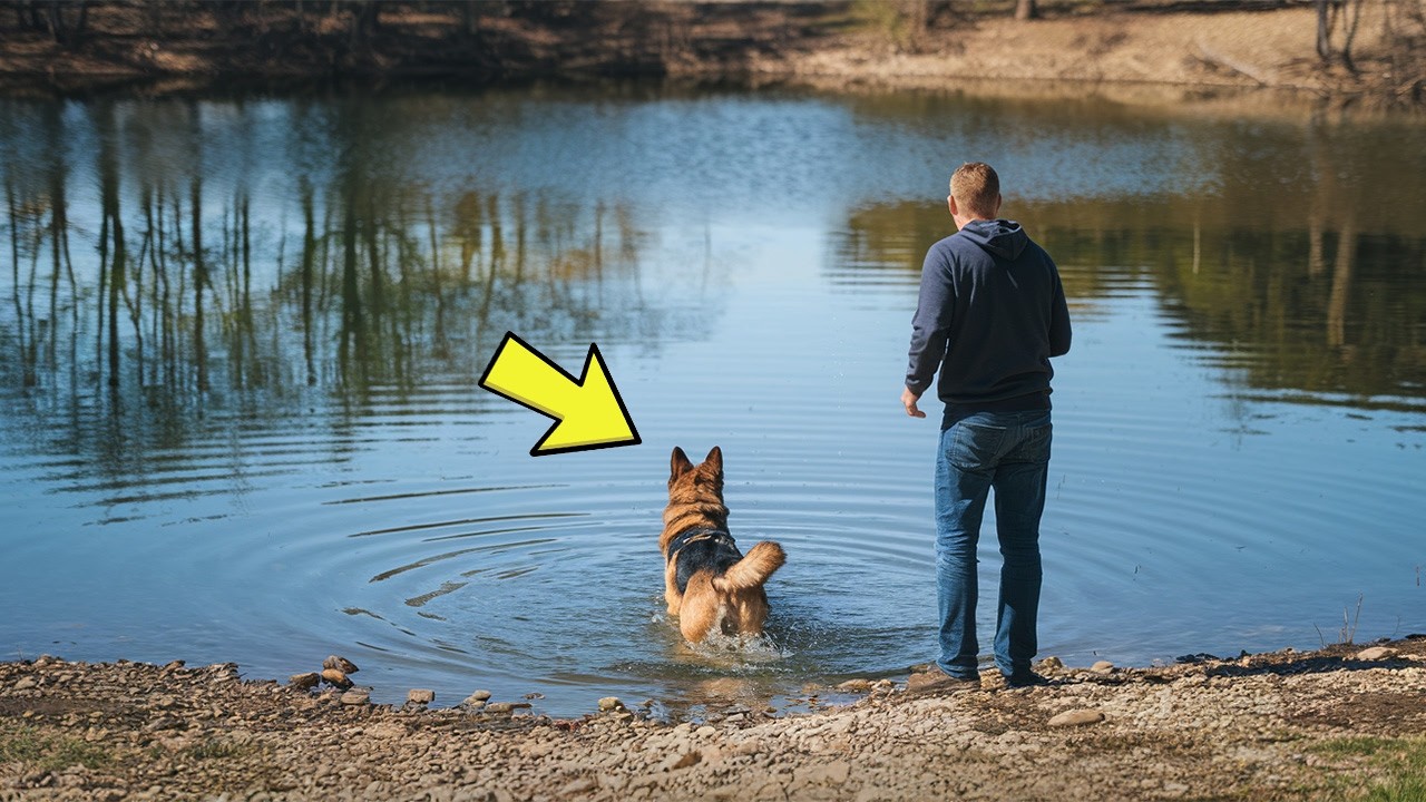 Dog Pulls His Owner Into A Lake, What He Saw In The Water>